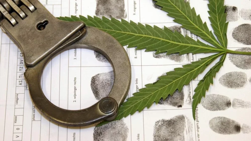 Entra em vigor a Lei 11.343, conhecida como Lei de Drogas